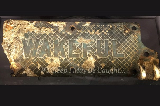 wakeful plate 16 edit copy